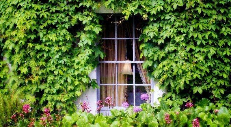 Barberstown Castle Otel Straffan Dış mekan fotoğraf